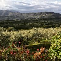 B&B da Odila - B&B Poggio Nativo