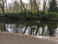 Superb Peaceful 1 bed apartment in St George. - B&B Bristol