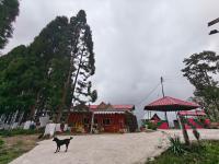 Whispering Pines Farmstay - B&B Lava