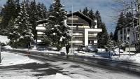 Apartment in Lenzerheide - B&B