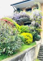 Al glicine - B&B Lovere