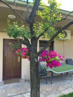 Apartman J&G - B&B Gornji Milanovac