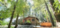 Cabañas Los Picaflores - Ferienwohnung Panguipulli