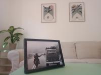 Tamarindo II - B&B Corralejo