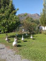 Cabañas Santa Sofía Radal 7 tazas - B&B Curicó