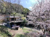 点 Ten Hut - B&B Kagoshima