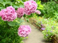 池袋本町3,4階 - Chambres d’hôtes Tokyo