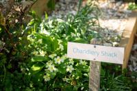The Chandlery Shack, Cosy sleeps 2 Lyme Regis - B&B Lyme Regis