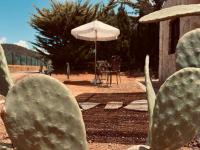 Balearic Sunset Apartment - Ferienwohnung Santa Gertrudis de Fruitera