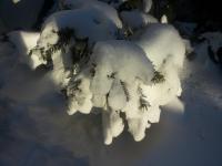 Orchidee Altenau - Bed and Breakfast Altenau