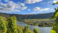 Ferienapartment Weber-Loskill - B&B Mehring