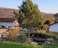 Ferienwohnung Amano - B&B Fischbach