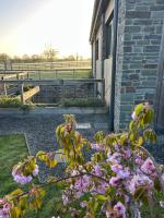 The Boot Room Apartment at Hobbits Countryside Retreat Private Courtyard , close to the Cotswolds - B&B Wickwar