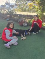 Annfield Cottage with Mountain View 7BR Mussoorie - B&B Mussoorie
