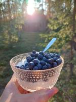 Kotoisa hirsihuvila Ylläksellä - Ferienwohnung Ylläsjärvi