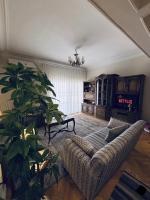Sun-lit Elegant Home in a Quiet Mohandessin Spot - B&B Cairo