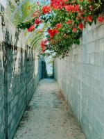Seaside Cottage with private pool by LOV Mauritius - Bed and Breakfast Grand Baie