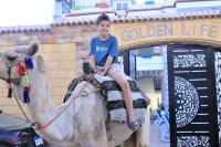 Villa golden life apartments, new property with pool access - B&B Luxor