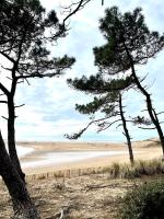 Au coeur de Saint Hilaire - B&B Talmont-Saint-Hilaire