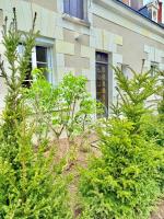 Suite romantique, piscine intérieure privée et sauna - Ferienwohnung Châteauvieux
