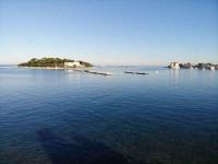 Apartment in Porec - Istrien 47147 - B&B Parenzo