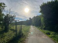 Ferienwohnung Lamm - B&B Rümmingen
