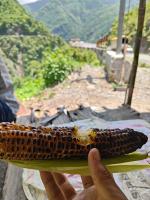 New Tourist Homestay - B&B Mussoorie