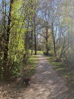 Ferienwohnung Hollmann - Ferienwohnung Kaufbeuren