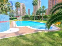 Piso céntrico con piscina - Bed and Breakfast Benidorm