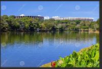 Microcasa - Suite confort 03 - B&B Contagem