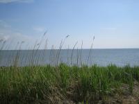 Haus Halligblick - Ferienwohnung Dagebüll