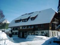 Ferienhaus Schwörer - Ferienwohnung Feldberg