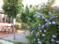 Casa Margherita 2 - B&B Parghelia