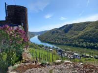 Kutscherhaus auf Burg Coraidelstein - Ferienwohnung Klotten