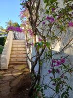 Chichen Itza - B&B Moraira