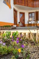 Ferienwohnung Schwarzalb - Bed and Breakfast Untere Mühlbauern