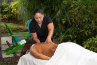 Volcano View Oasis Arenal - B&B La Fortuna