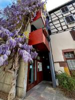 Le cocon du Vieux Colmar - Design et cosy - Hypercentre Colmar - B&B Colmar
