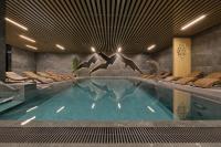 BANIA BLACK MOUNTAIN I basen & spa - Bed and Breakfast Białka Tatrzańska