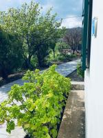 Lefkothea Apartments - Kontias, Lemnos - B&B Kondiás