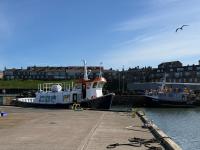 Seabirds Cottage with Views Over Seahouses Harbour Northumberland - Ferienwohnung Seahouses