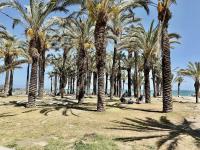 A1 - Apartamento en La Carihuela, 2 dormitorios, Wifi, a 100 metros de la playa - B&B Torremolinos