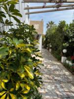 Yanna's Apartments - B&B Sidári