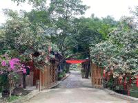 Hoa Lau Homestay Tràng An - Ferienwohnung Nguyên Ngoại
