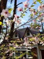 Mountain chalet getaway at Fuji-Sanroku 富士山麓のシャレー風山荘 - Chambres d'hôtes Narusawa