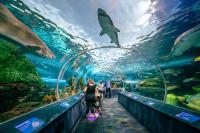 Cozy Toronto Suite - Near CN Tower, Rogers Centre, and Toronto Stadium - B&B Toronto