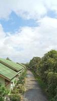 เดอะกรีนฟอเรสท์ รีสอร์ท - B&B Hat Yai