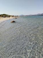 Domo Archea, al centro di Olbia - B&B Olbia