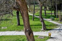 Apartmani Park, Jajce - Bed and Breakfast Jajce