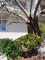 Apartman Lina - Bed and Breakfast Rijeka